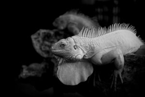 腸活と便秘解消は同じじゃない？その違いとは？