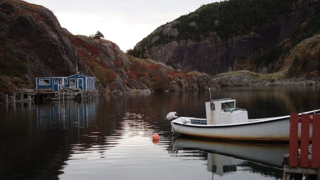 腸活に最適な酵素おすすめ市販ドリンクは？