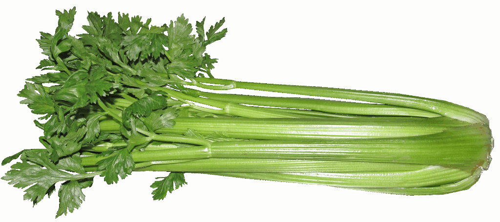 酵素ダイエットにおすすめの市販ドリンク比較表は？