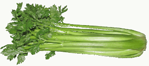 酵素ダイエットの市販ドリンクを比較表で徹底解説するには？