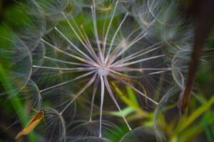 腸内フローラダイエットの効果が現れる時期はいつ？