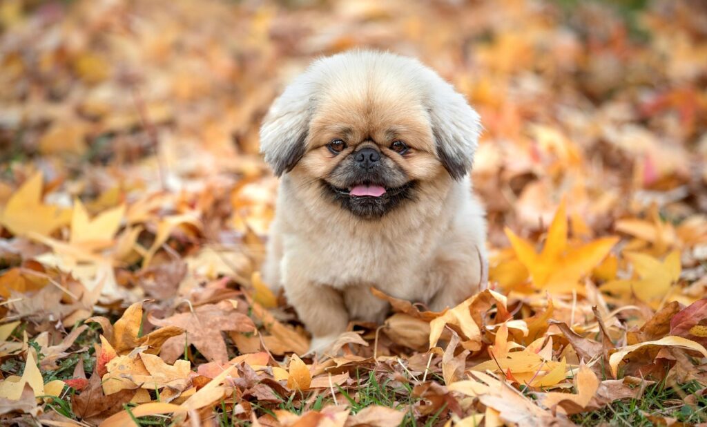 腸活に効果的な酵素の失敗しない組み合わせは？