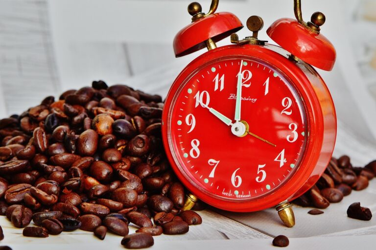 酵素ドリンクを飲むタイミングはいつが効果的？