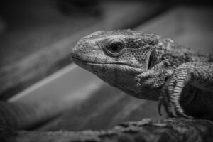 酵素ファスティングで失敗しない方法とは？