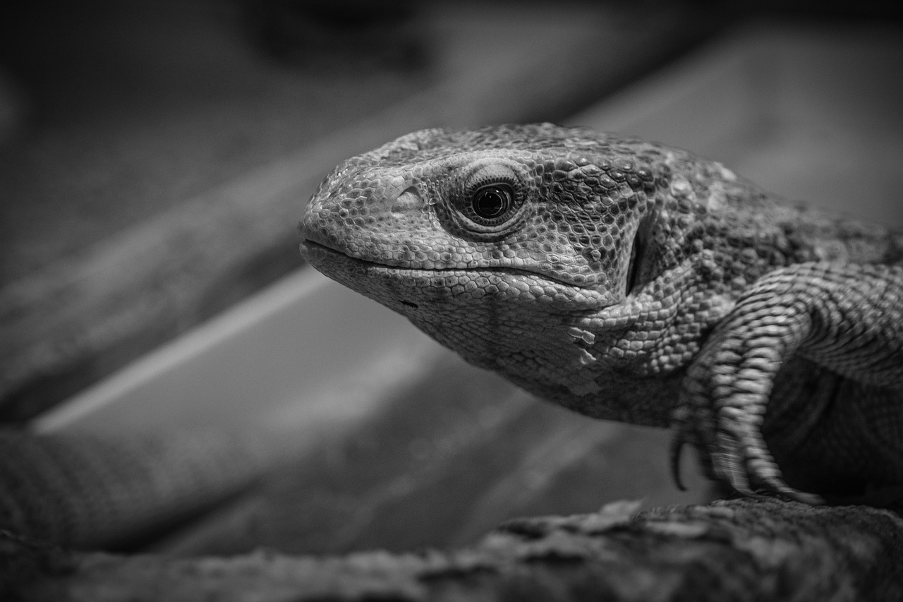 酵素ファスティングで失敗しない方法とは？