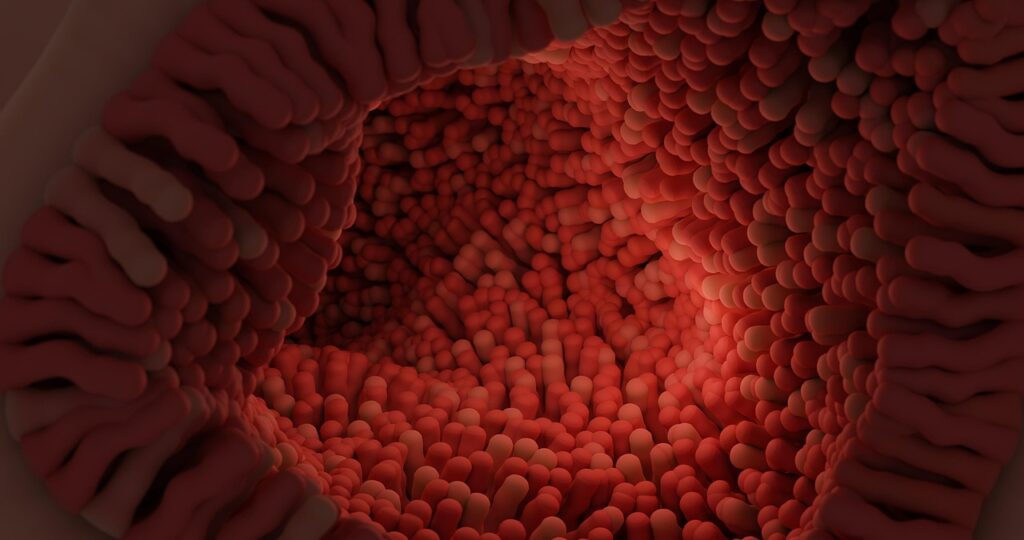 腸活に最適なサプリは乳酸菌と酵母のどちらが効果的？