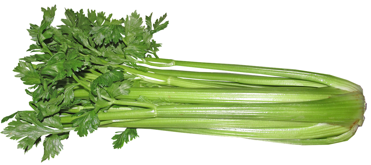 酵素ダイエットを40代が行う際に断食は無理なのか？