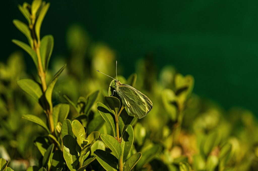 腸活ダイエットでよくある悩みを解消する方法は？