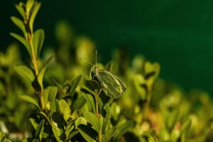 腸活ダイエットでよくある悩みを解消する方法は？